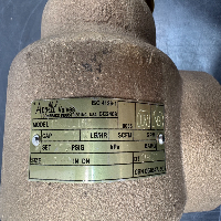 Apollo Valves 19KJJL150 Safety Relief Valve image 3